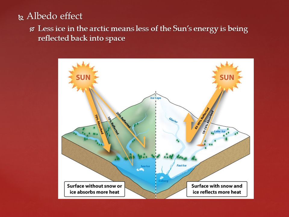  Albedo effect  Less ice in the arctic means less of the Sun’s energy is being reflected back into space