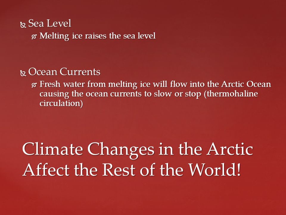  Sea Level  Melting ice raises the sea level  Ocean Currents  Fresh water from melting ice will flow into the Arctic Ocean causing the ocean currents to slow or stop (thermohaline circulation) Climate Changes in the Arctic Affect the Rest of the World!