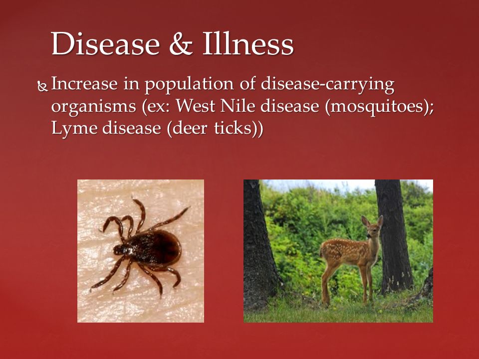  Increase in population of disease-carrying organisms (ex: West Nile disease (mosquitoes); Lyme disease (deer ticks)) Disease & Illness
