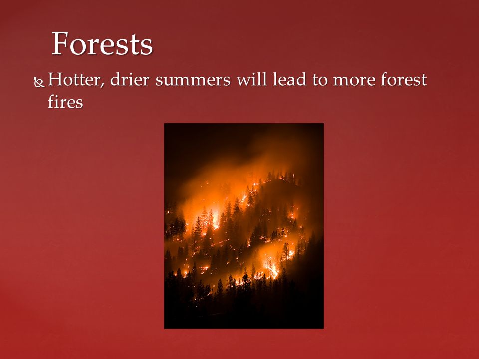  Hotter, drier summers will lead to more forest fires Forests