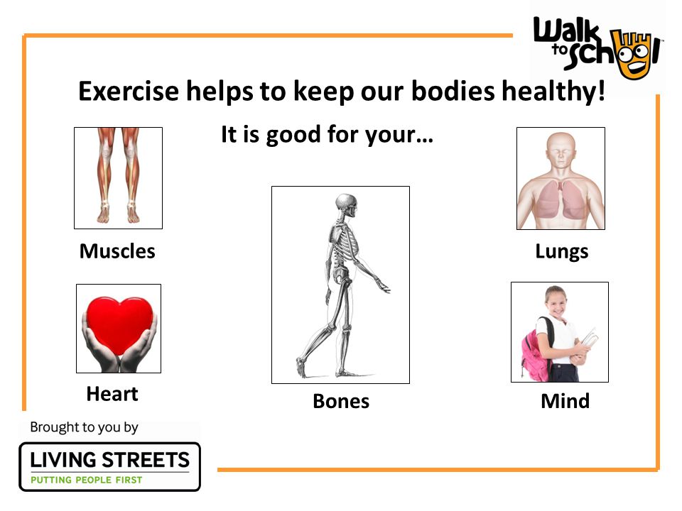 Heart LungsMuscles Mind Exercise helps to keep our bodies healthy! It is good for your… Bones