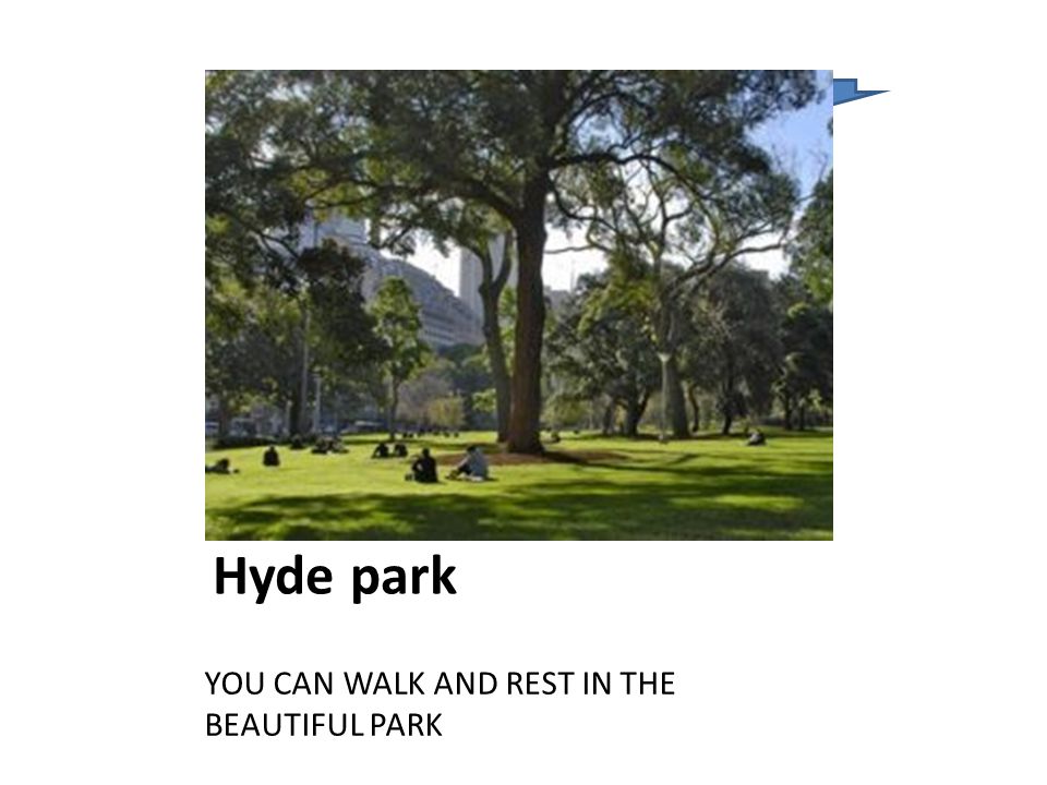 Hyde park YOU CAN WALK AND REST IN THE BEAUTIFUL PARK