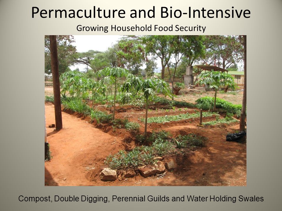 Permaculture and Bio-Intensive Growing Household Food Security Compost, Double Digging, Perennial Guilds and Water Holding Swales