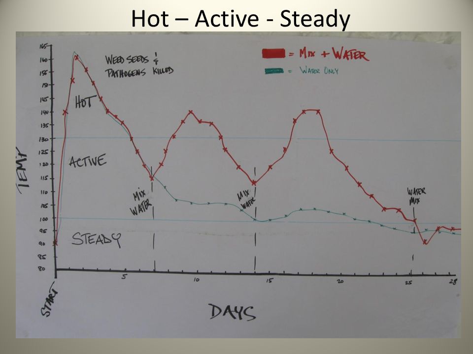 Hot – Active - Steady