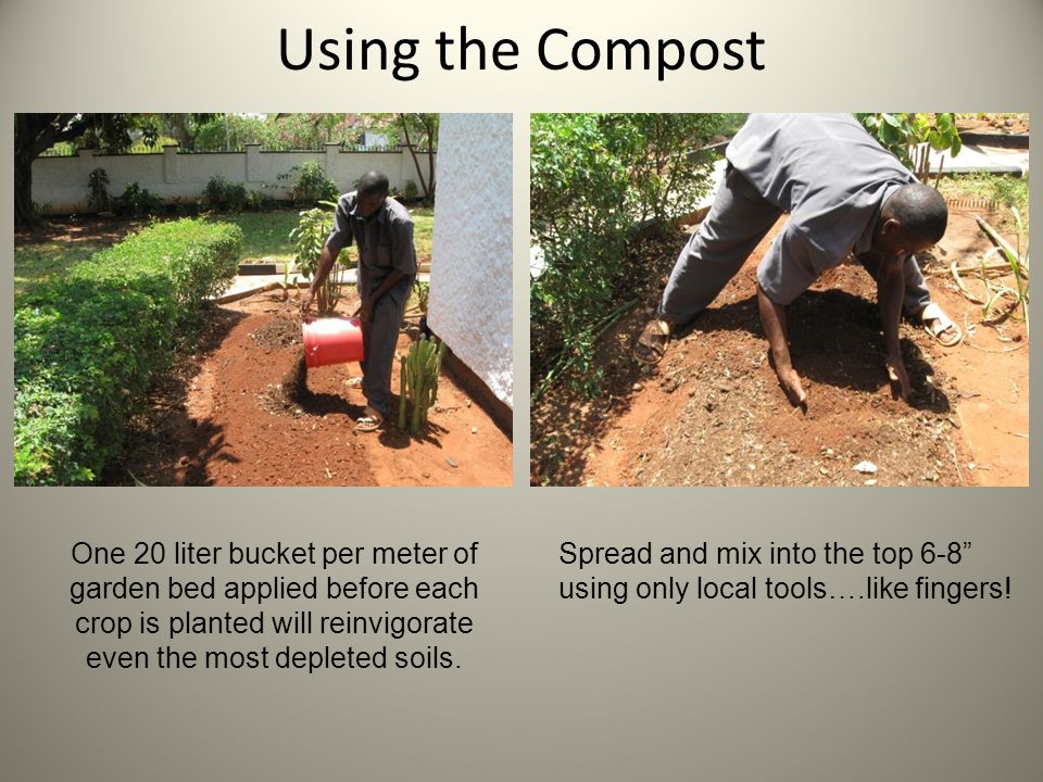 Using the Compost One 20 liter bucket per meter of garden bed applied before each crop is planted will reinvigorate even the most depleted soils.