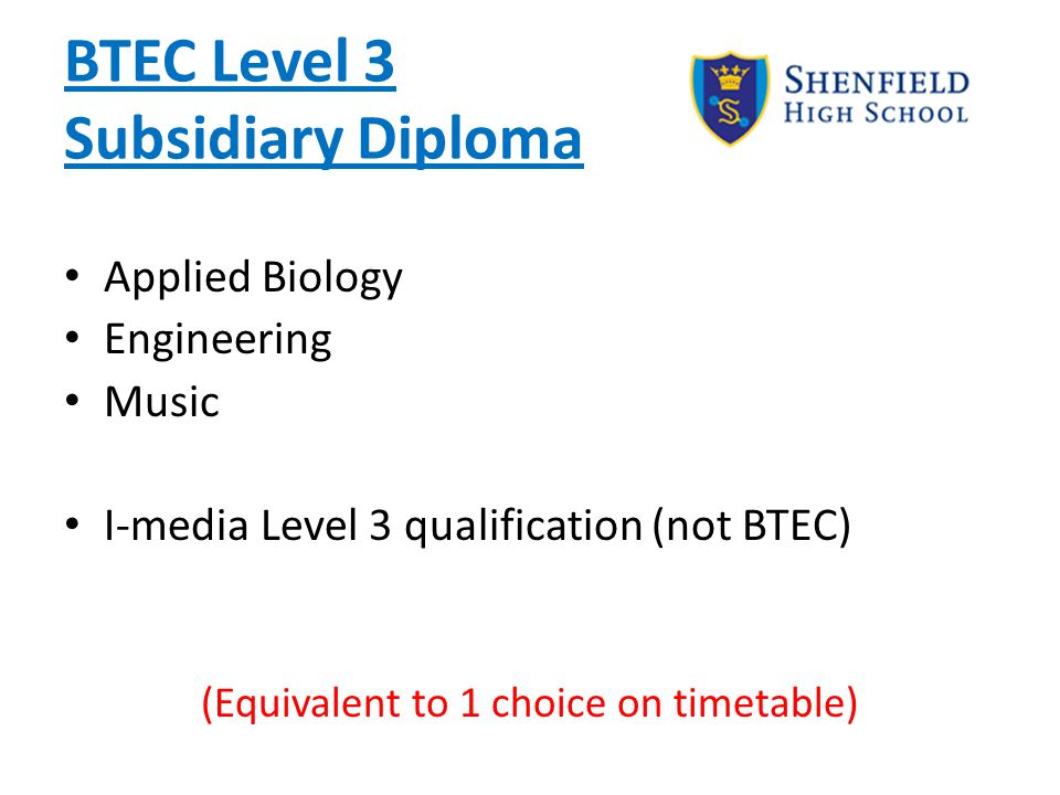 BTEC Level 3 Subsidiary Diploma Applied Biology Engineering Music I-media Level 3 qualification (not BTEC) (Equivalent to 1 choice on timetable)