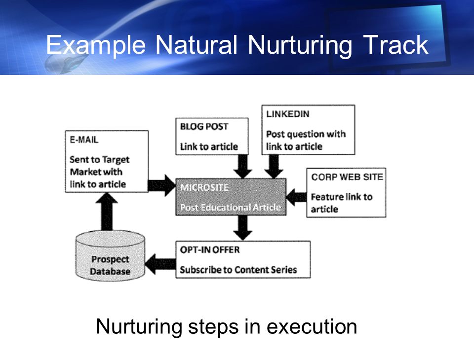Example Natural Nurturing Track Nurturing steps in execution