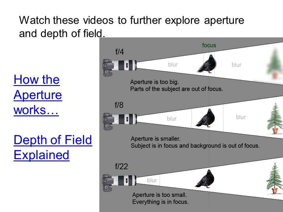 How the Aperture works… Depth of Field Explained Watch these videos to further explore aperture and depth of field.
