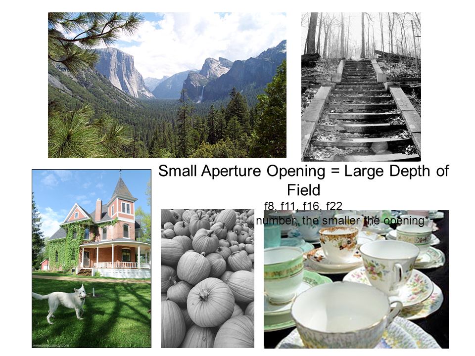Small Aperture Opening = Large Depth of Field f8, f11, f16, f22 *the larger the number, the smaller the opening*