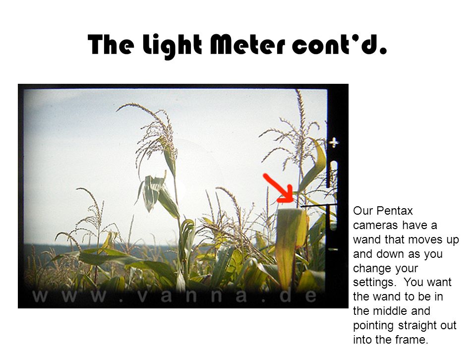 The Light Meter cont’d.