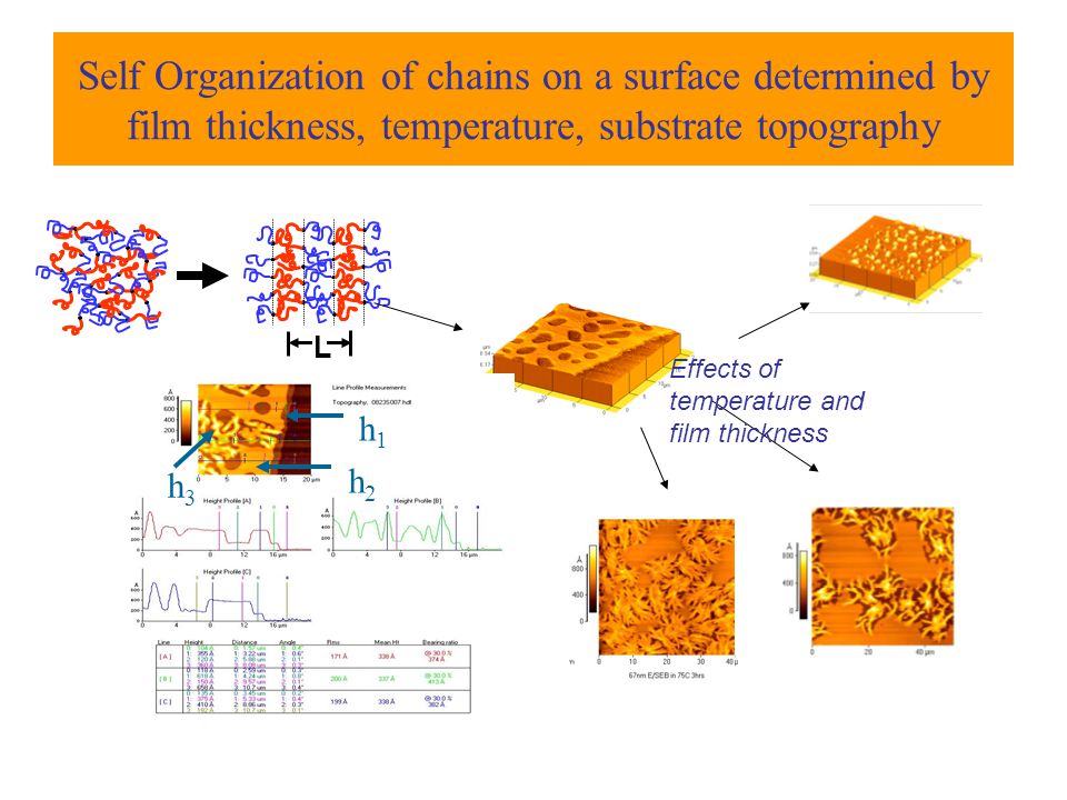 Self Organization of chains on a surface determined by film thickness, temperature, substrate topography h1h1 h2h2 h3h3 L Effects of temperature and film thickness