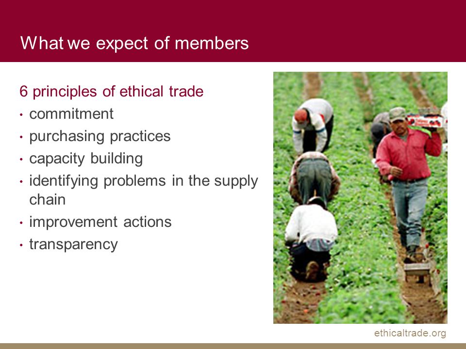 ethicaltrade.org What we expect of members 6 principles of ethical trade commitment purchasing practices capacity building identifying problems in the supply chain improvement actions transparency