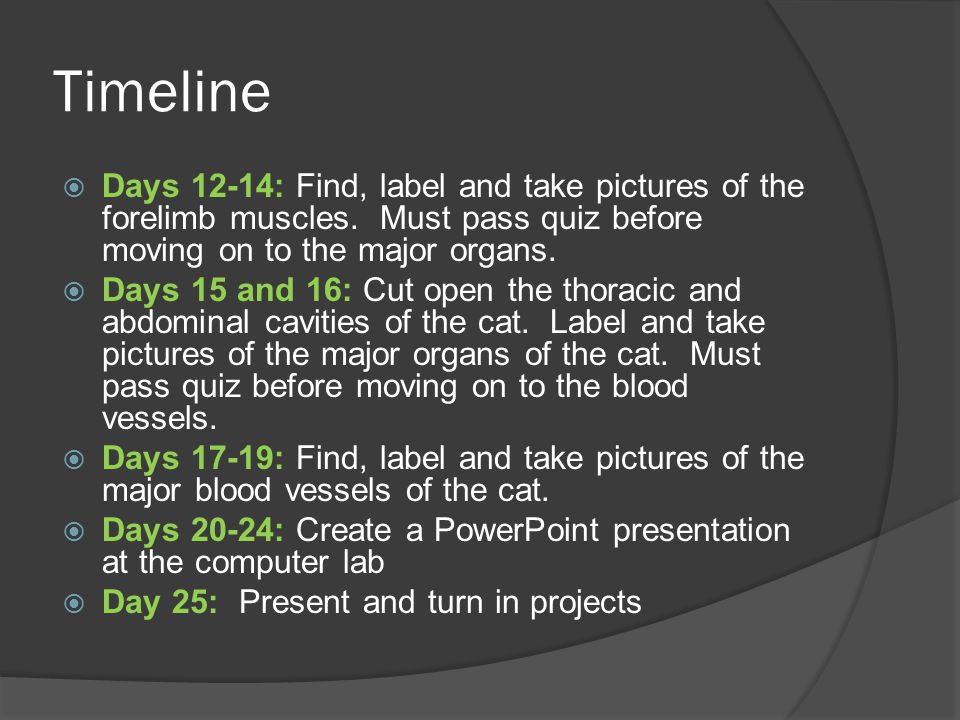 Timeline  Days 12-14: Find, label and take pictures of the forelimb muscles.