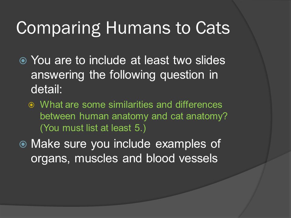 Comparing Humans to Cats  You are to include at least two slides answering the following question in detail:  What are some similarities and differences between human anatomy and cat anatomy.