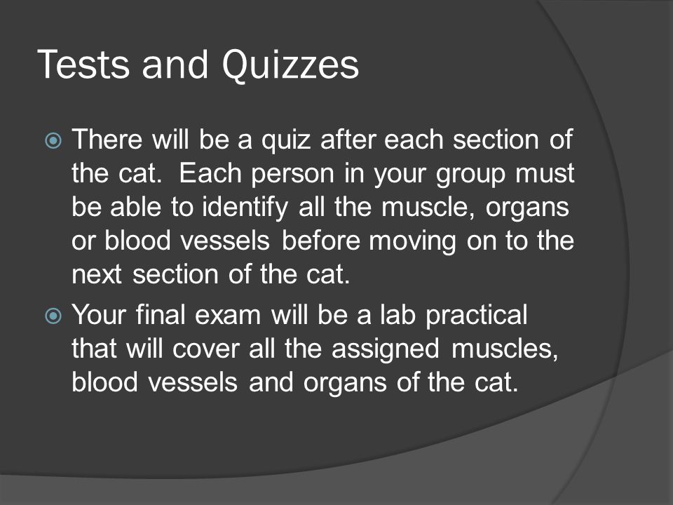 Tests and Quizzes  There will be a quiz after each section of the cat.