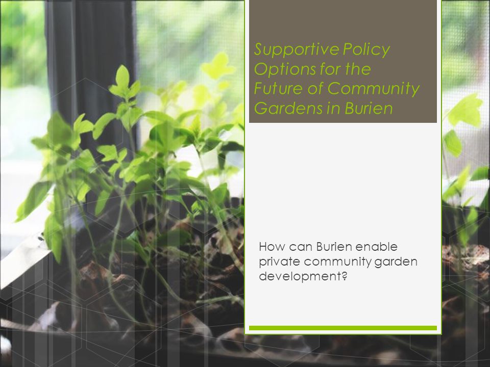 Supportive Policy Options For The Future Of Community Gardens In
