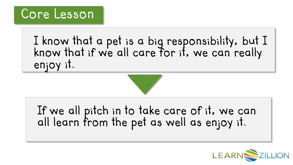 Let’s Review Core Lesson If we all pitch in to take care of it, we can all learn from the pet as well as enjoy it.
