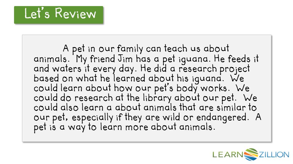 Let’s Review A pet in our family can teach us about animals.