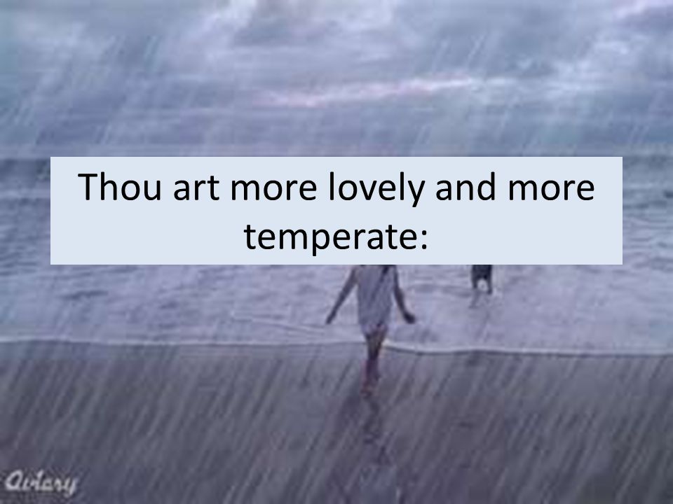 Thou art more lovely and more temperate: