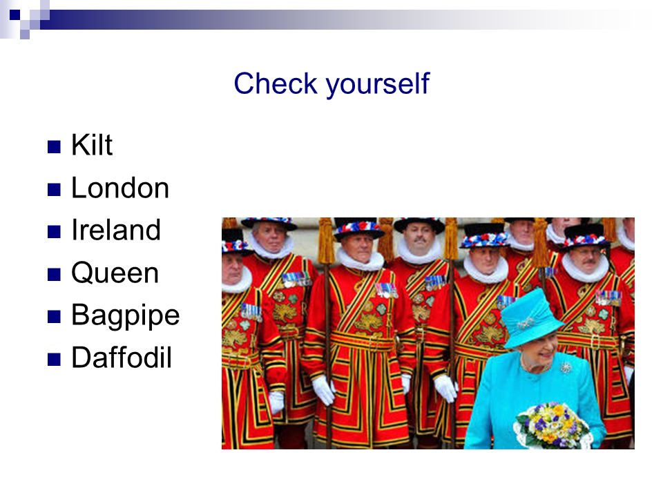 Check yourself Kilt London Ireland Queen Bagpipe Daffodil