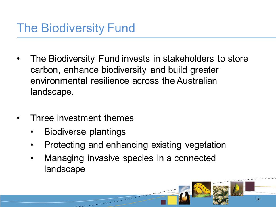 The Biodiversity Fund The Biodiversity Fund invests in stakeholders to store carbon, enhance biodiversity and build greater environmental resilience across the Australian landscape.