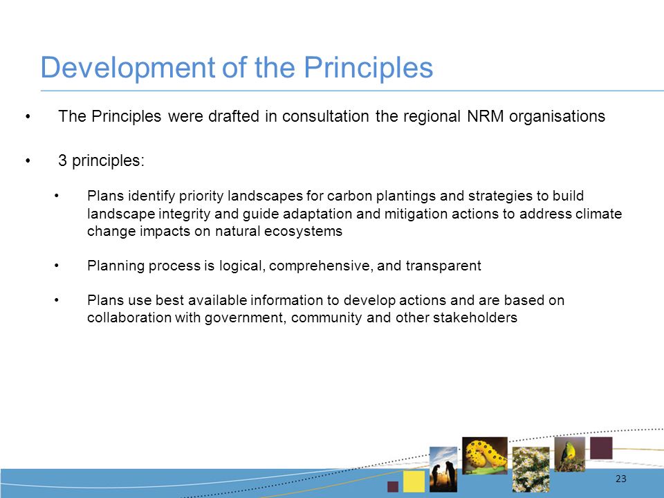 Development of the Principles The Principles were drafted in consultation the regional NRM organisations 3 principles: Plans identify priority landscapes for carbon plantings and strategies to build landscape integrity and guide adaptation and mitigation actions to address climate change impacts on natural ecosystems Planning process is logical, comprehensive, and transparent Plans use best available information to develop actions and are based on collaboration with government, community and other stakeholders 23