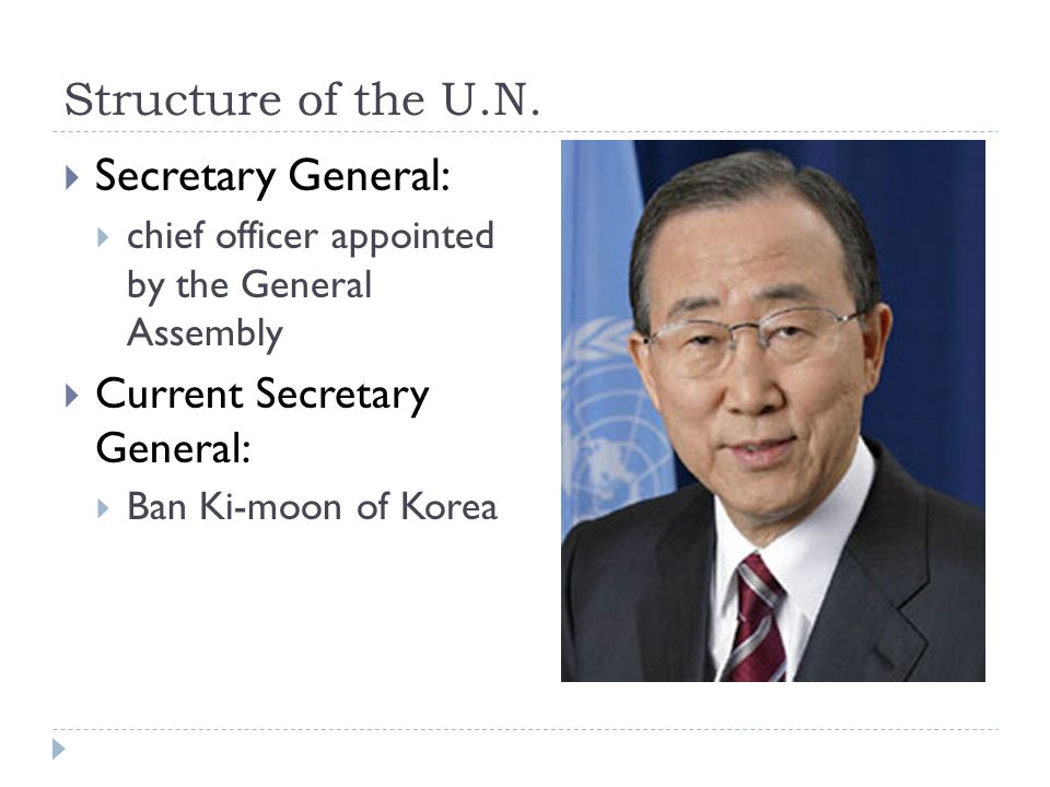 Structure of the U.N.