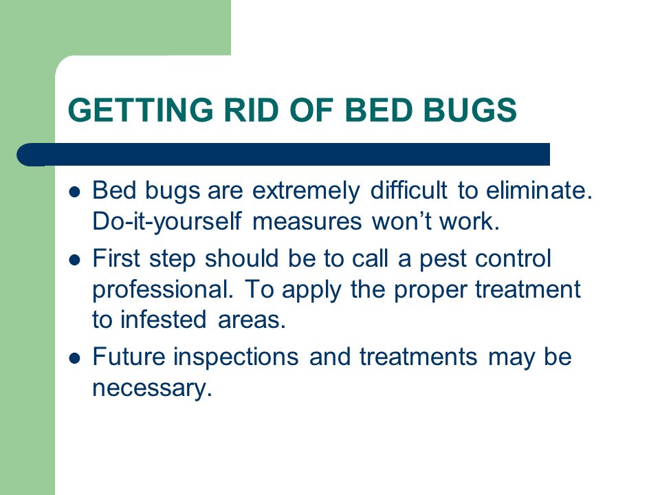 GETTING RID OF BED BUGS Bed bugs are extremely difficult to eliminate.