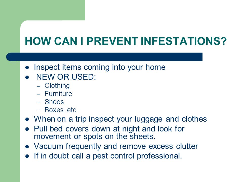 HOW CAN I PREVENT INFESTATIONS.