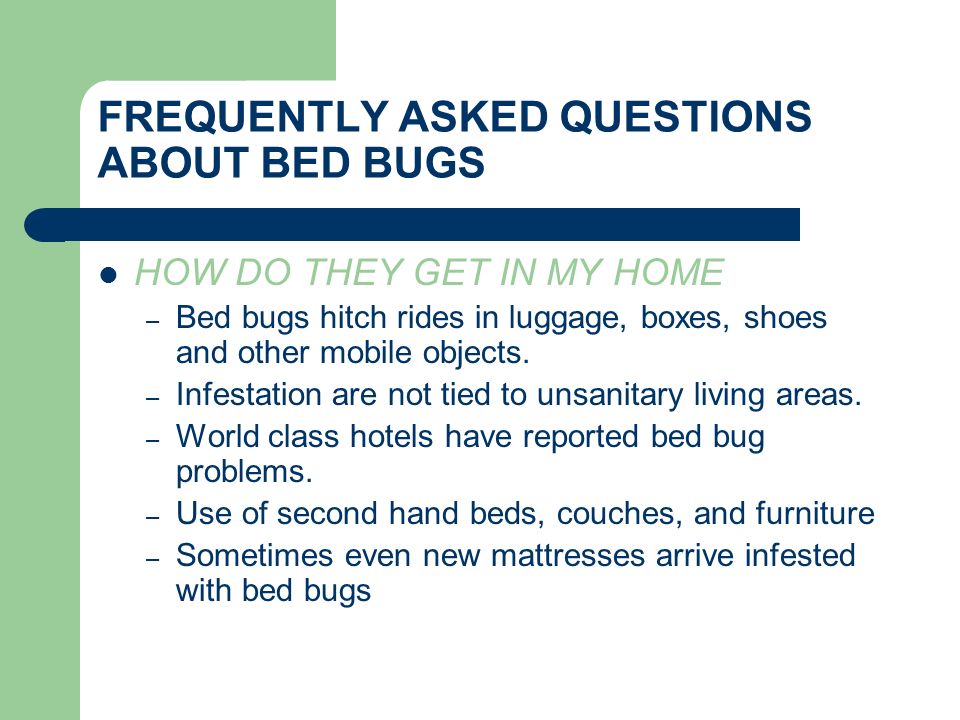 FREQUENTLY ASKED QUESTIONS ABOUT BED BUGS HOW DO THEY GET IN MY HOME – Bed bugs hitch rides in luggage, boxes, shoes and other mobile objects.