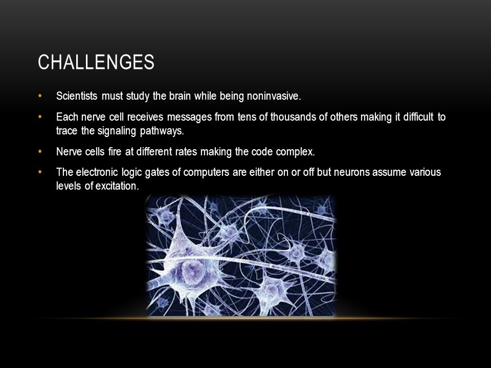 CHALLENGES Scientists must study the brain while being noninvasive.