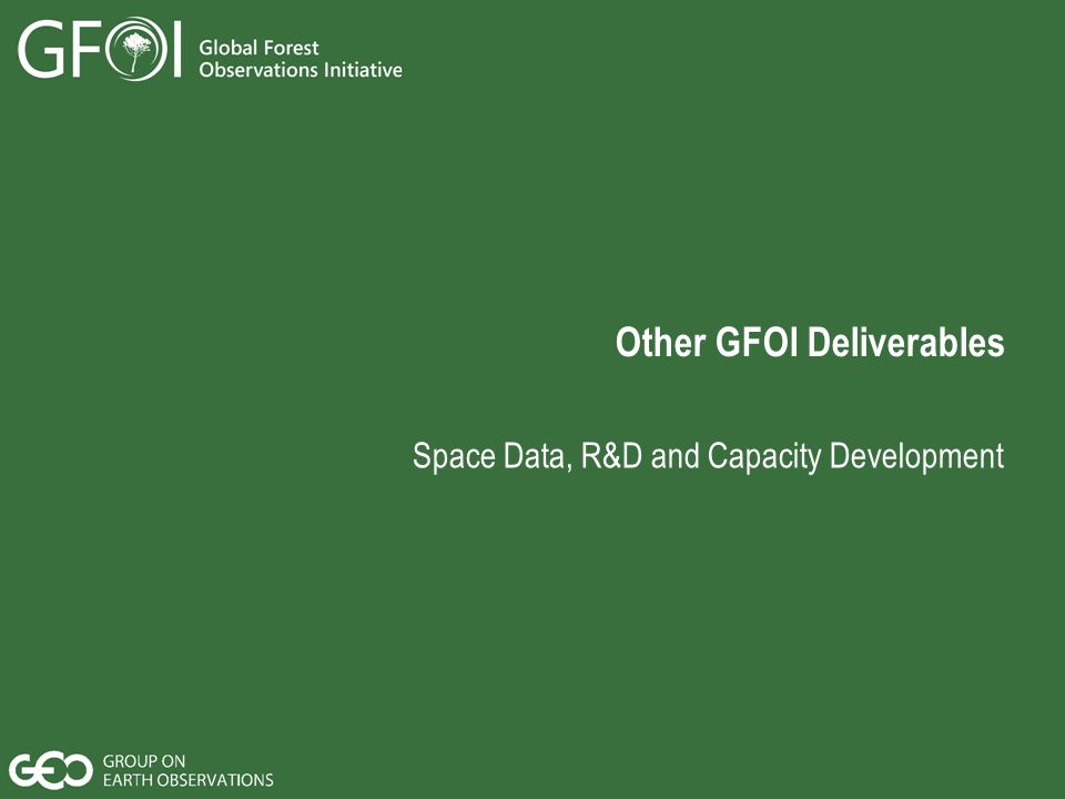 Other GFOI Deliverables Space Data, R&D and Capacity Development