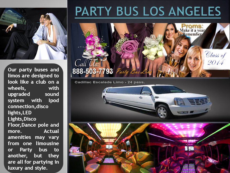 Our party buses and limos are designed to look like a club on a wheels, with upgraded sound system with Ipod connection,disco lights,LED Lights,Disco Floor,Dance pole and more.