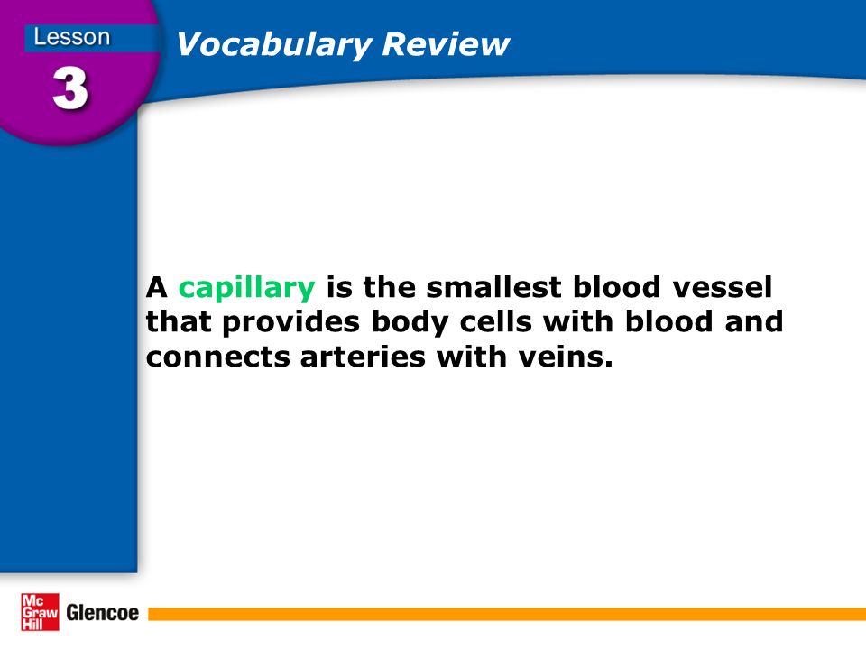 Vocabulary Review A capillary is the smallest blood vessel that provides body cells with blood and connects arteries with veins.
