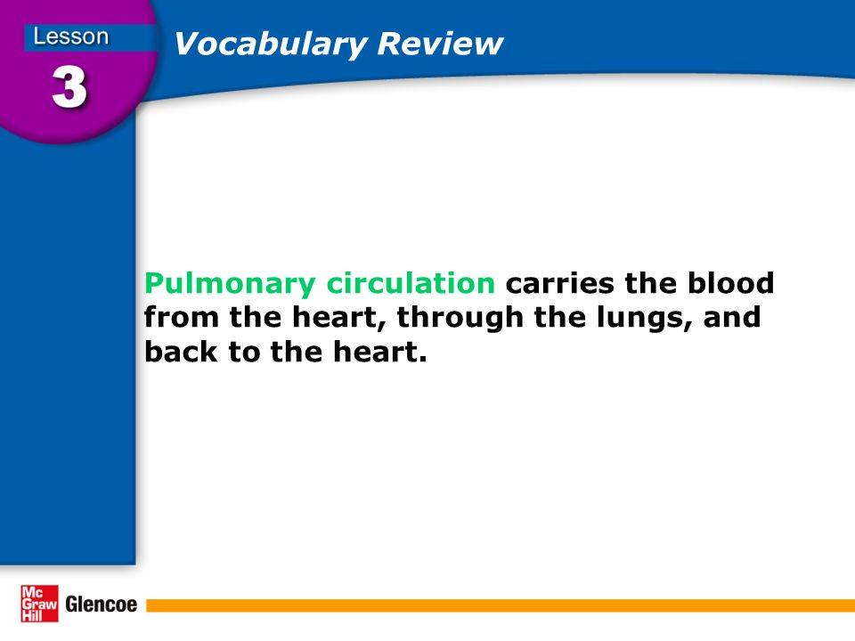 Vocabulary Review Pulmonary circulation carries the blood from the heart, through the lungs, and back to the heart.