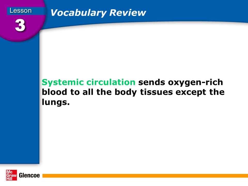 Vocabulary Review Systemic circulation sends oxygen-rich blood to all the body tissues except the lungs.