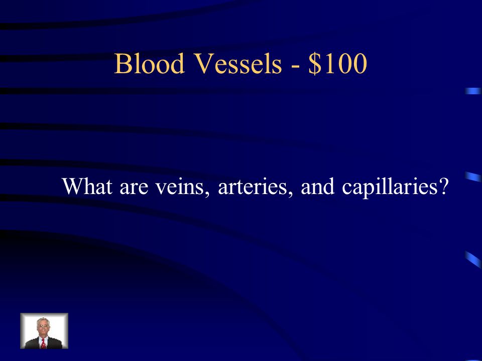 $100 – Blood Vessels These are the three blood vessels in our body.