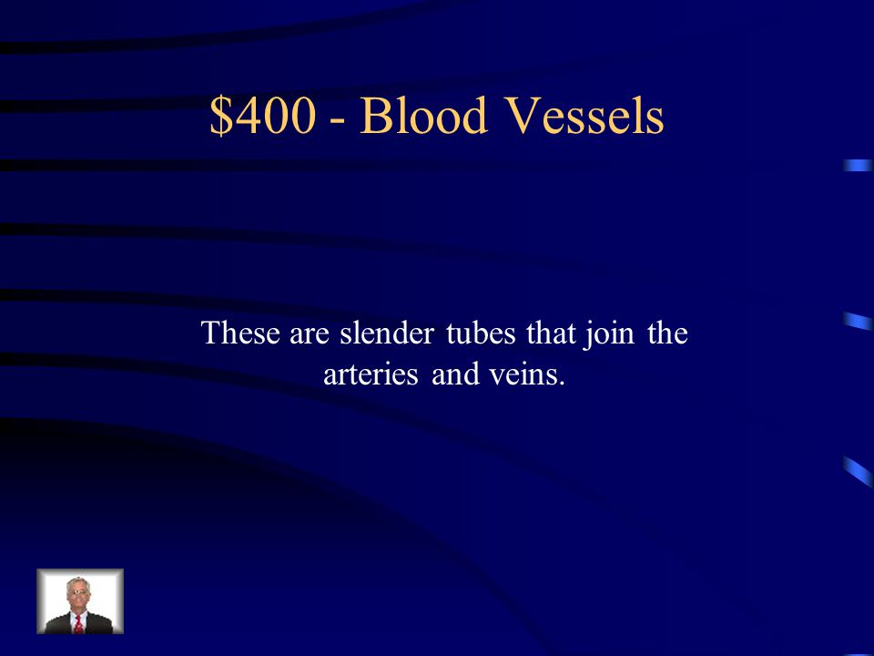 Blood Vessels -$300 What are arteries