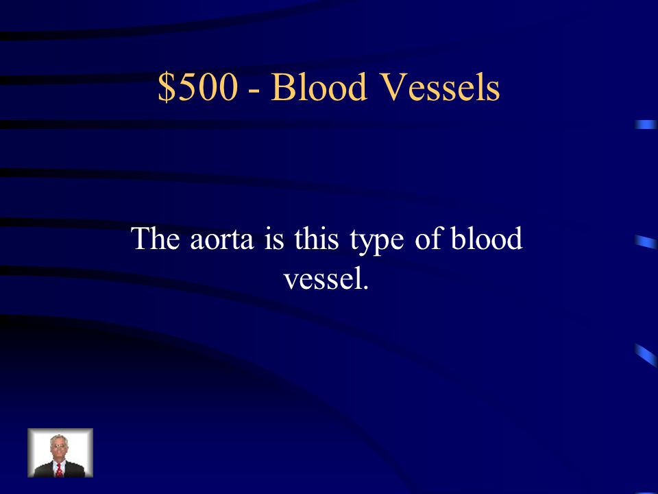Blood Vessels -$400 What are capillaries