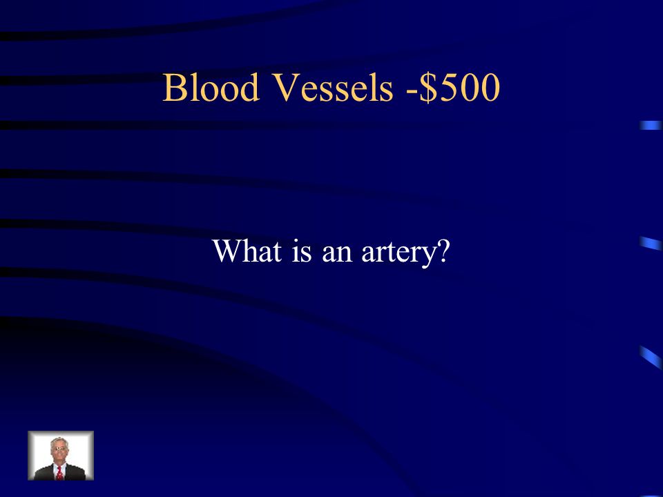 $500 - Blood Vessels The aorta is this type of blood vessel.