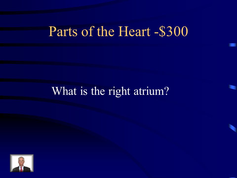 $300 –Parts of the Heart