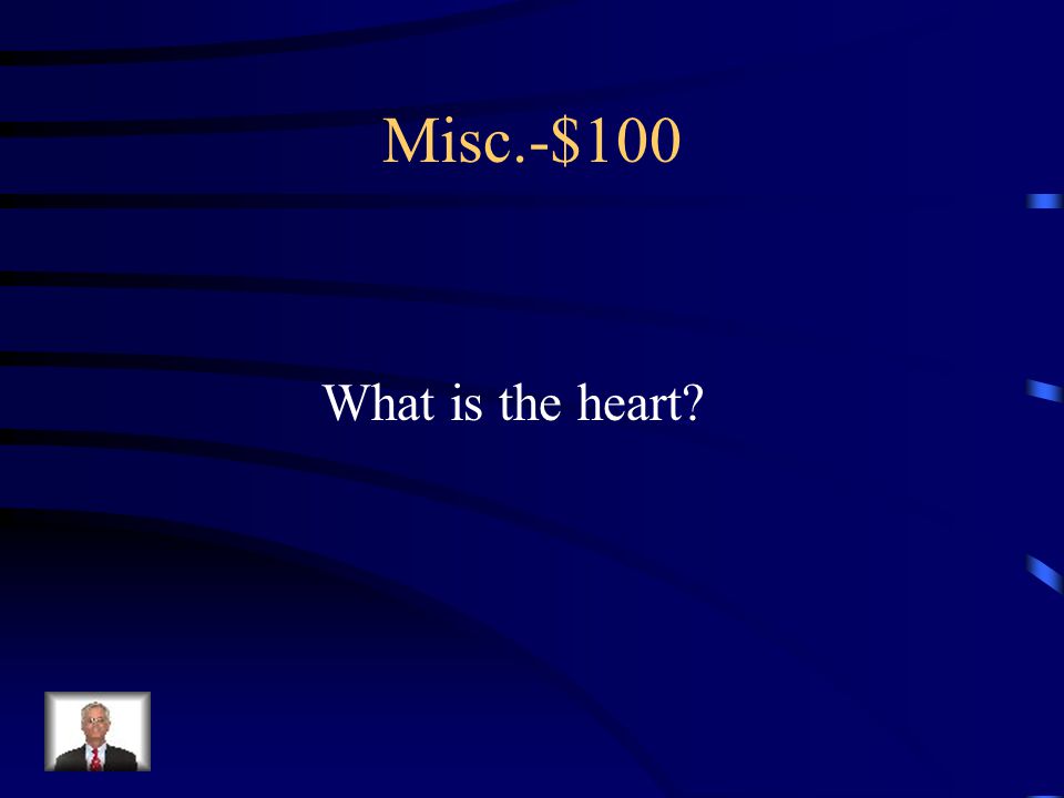 $100 –Misc. This is the hollow, muscular organ that pumps blood.