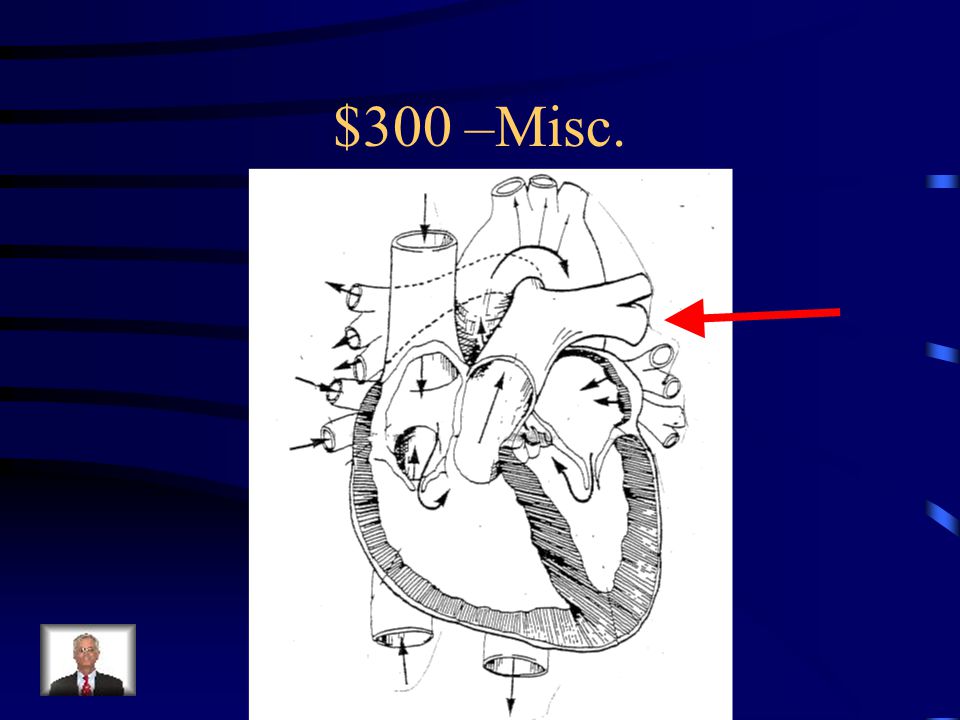 Misc.-$200 What is hemoglobin