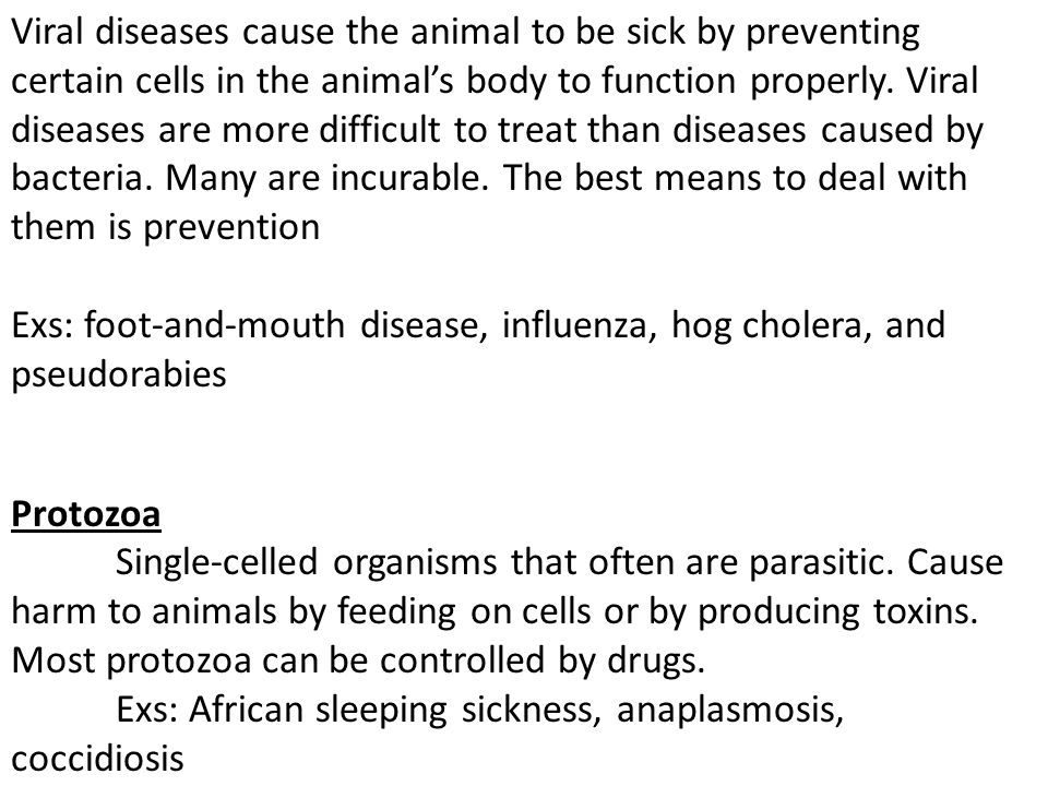 Animal Diseases & Health. Disease: not be at ease, uncomfortable due to a  variety of causes such as – nutritional defects, virus, bacteria, protozoa,  - ppt download