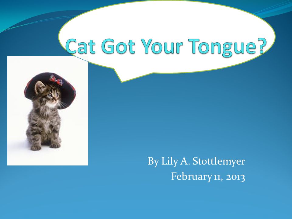 By Lily A Stottlemyer February 11 Table Of Contents Chapter 1