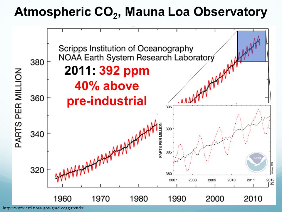 Atmospheric CO 2, Mauna Loa Observatory 2011: 392 ppm 40% above pre-industrial