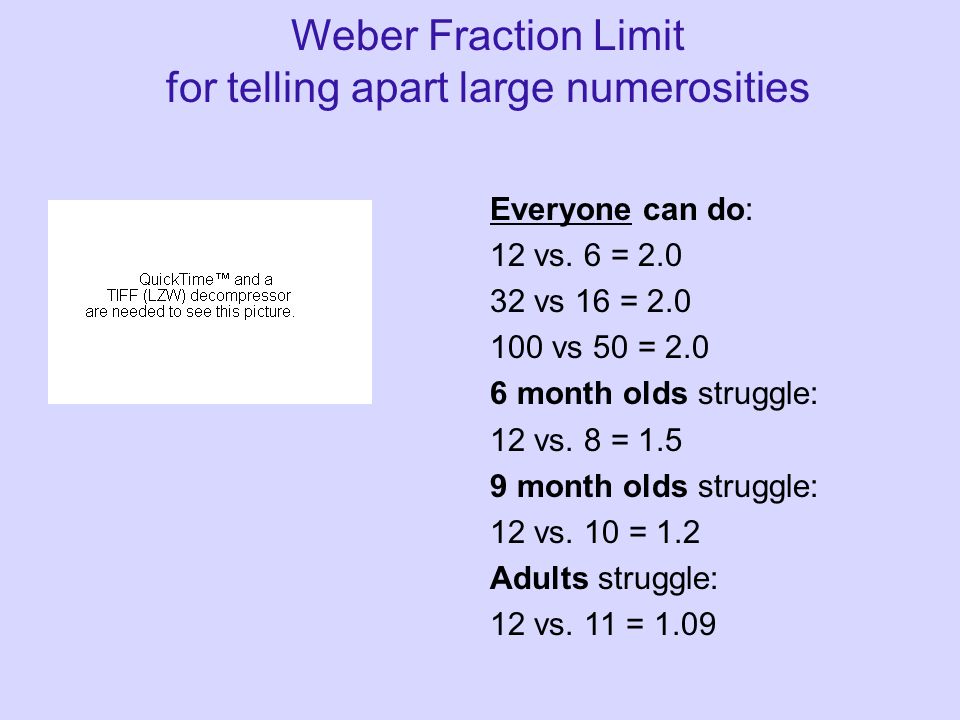 Weber Fraction Limit for telling apart large numerosities Everyone can do: 12 vs.