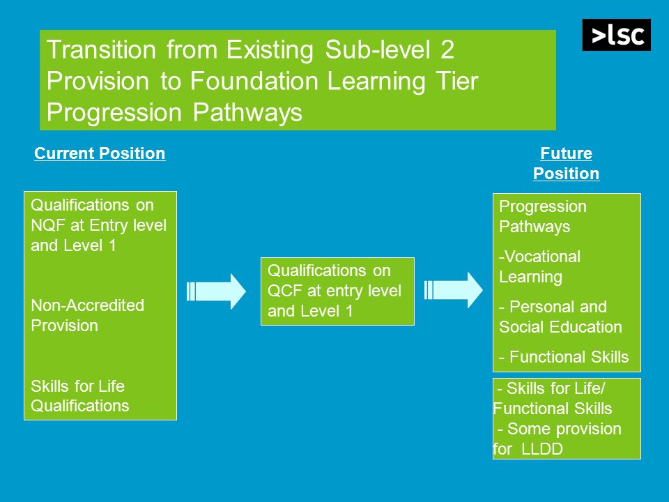 Transition from Existing Sub-level 2 Provision to Foundation Learning Tier Progression Pathways Qualifications on NQF at Entry level and Level 1 Non-Accredited Provision Skills for Life Qualifications Progression Pathways -Vocational Learning - Personal and Social Education - Functional Skills Qualifications on QCF at entry level and Level 1 Current PositionFuture Position - Skills for Life/ Functional Skills - Some provision for LLDD