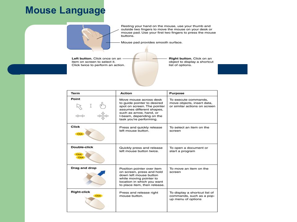 Mouse Language