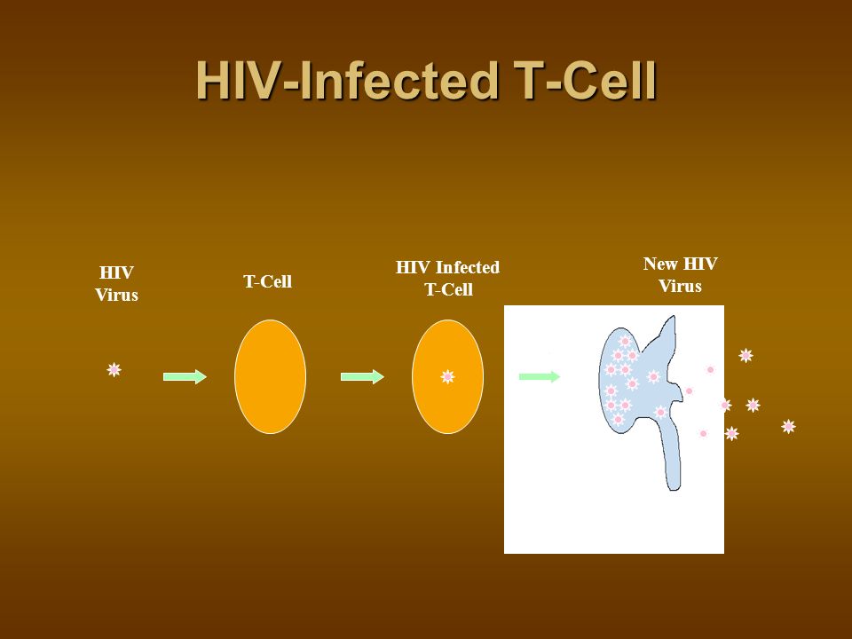Routes of Transmission of HIV Sexual Contact:Male-to-male Male-to-female or vice versa Female-to-female Blood Exposure: Injecting drug use/needle sharing Occupational exposure Occupational exposure Transfusion of blood products Transfusion of blood products Perinatal: Transmission from mom to baby Breastfeeding